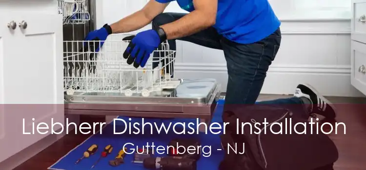 Liebherr Dishwasher Installation Guttenberg - NJ