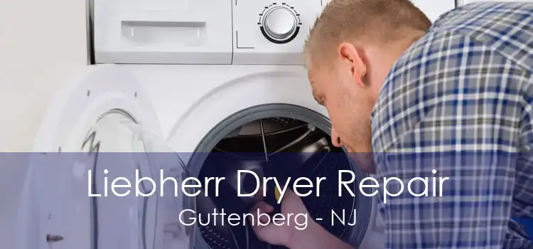 Liebherr Dryer Repair Guttenberg - NJ