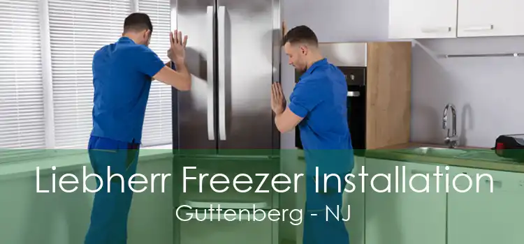 Liebherr Freezer Installation Guttenberg - NJ