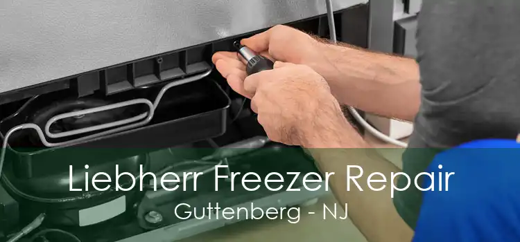 Liebherr Freezer Repair Guttenberg - NJ