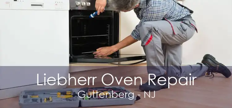 Liebherr Oven Repair Guttenberg - NJ