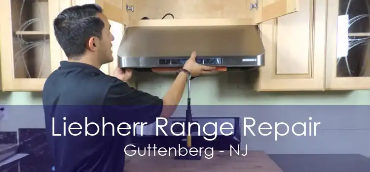 Liebherr Range Repair Guttenberg - NJ