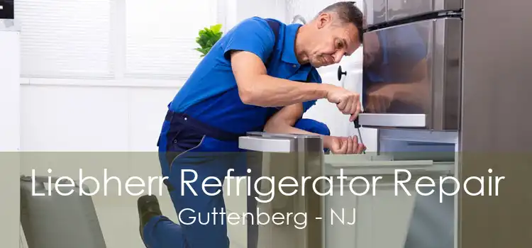 Liebherr Refrigerator Repair Guttenberg - NJ
