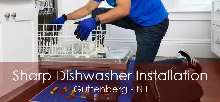 Sharp Dishwasher Installation Guttenberg - NJ