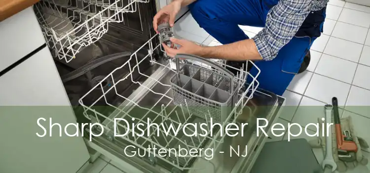 Sharp Dishwasher Repair Guttenberg - NJ