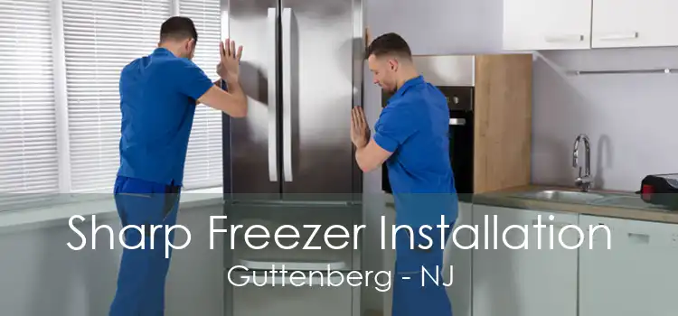 Sharp Freezer Installation Guttenberg - NJ