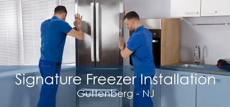 Signature Freezer Installation Guttenberg - NJ