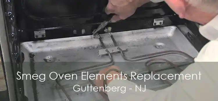 Smeg Oven Elements Replacement Guttenberg - NJ