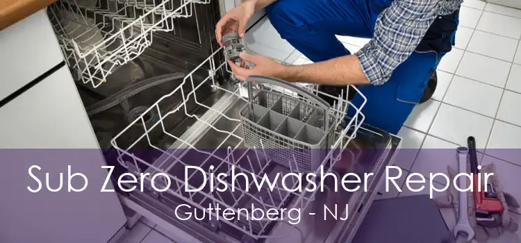 Sub Zero Dishwasher Repair Guttenberg - NJ