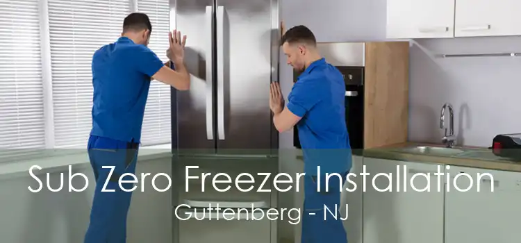 Sub Zero Freezer Installation Guttenberg - NJ