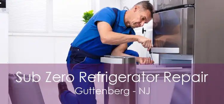 Sub Zero Refrigerator Repair Guttenberg - NJ