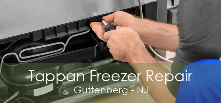 Tappan Freezer Repair Guttenberg - NJ