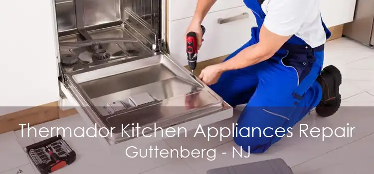 Thermador Kitchen Appliances Repair Guttenberg - NJ