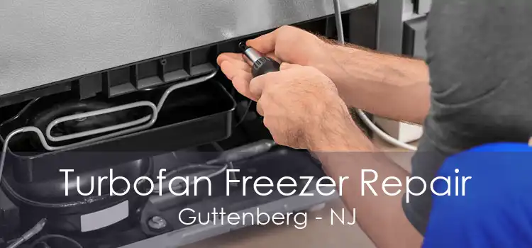 Turbofan Freezer Repair Guttenberg - NJ