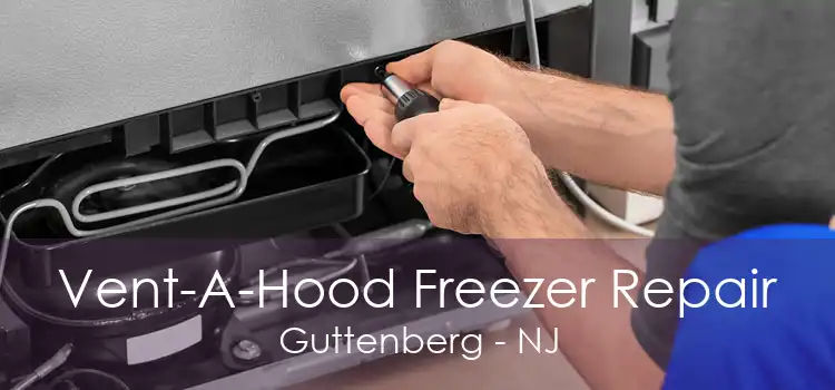 Vent-A-Hood Freezer Repair Guttenberg - NJ