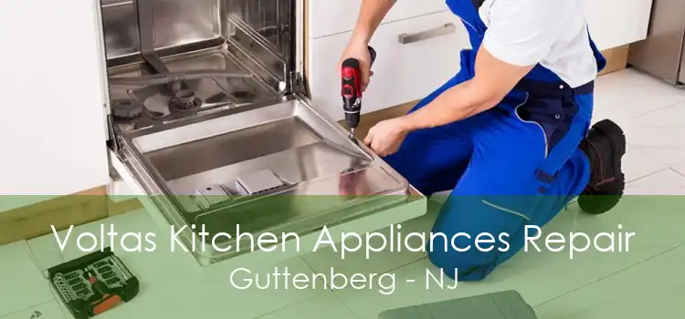 Voltas Kitchen Appliances Repair Guttenberg - NJ