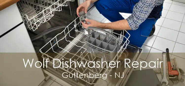 Wolf Dishwasher Repair Guttenberg - NJ