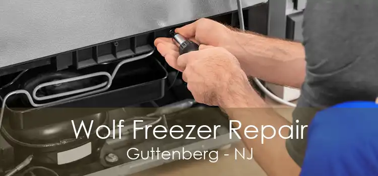 Wolf Freezer Repair Guttenberg - NJ
