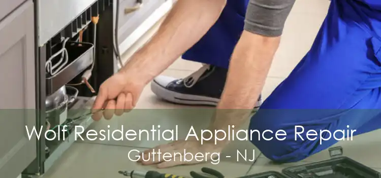 Wolf Residential Appliance Repair Guttenberg - NJ