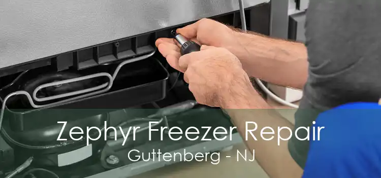 Zephyr Freezer Repair Guttenberg - NJ
