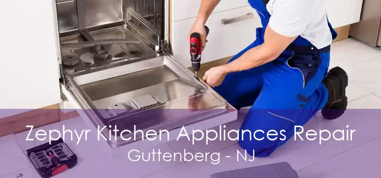Zephyr Kitchen Appliances Repair Guttenberg - NJ