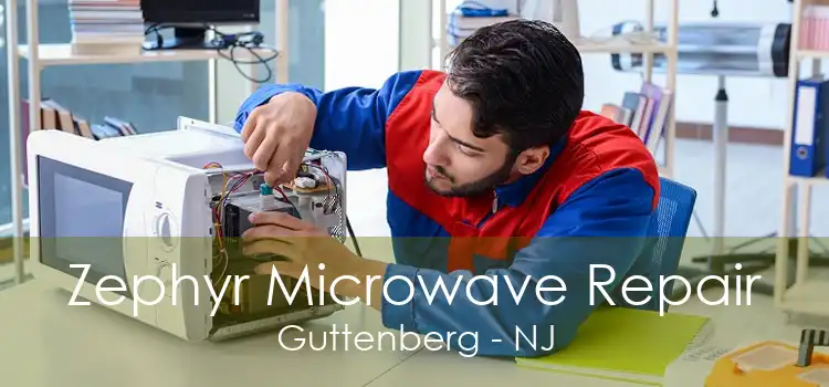 Zephyr Microwave Repair Guttenberg - NJ
